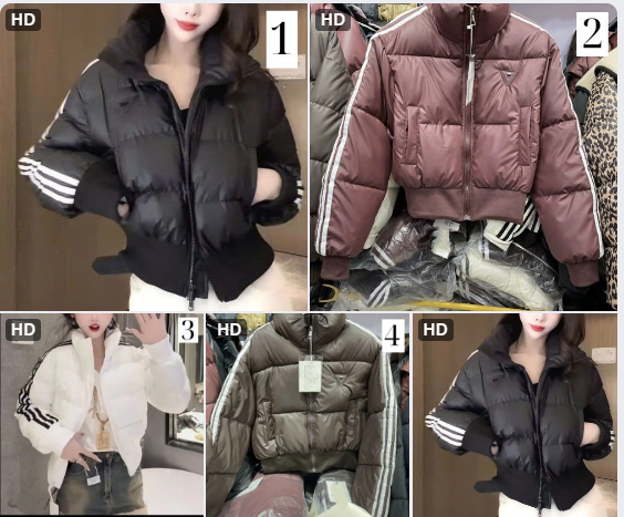 Áo phao dáng ngắn cho nữ – 69224(Chốt hàng: trước 24h ngày 14/12)