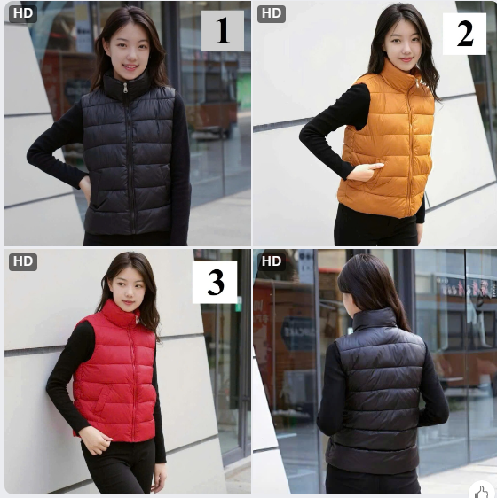 Áo phao ghile Geely cho nữ - 69296(Chốt hàng: trước 24h ngày 16/12)