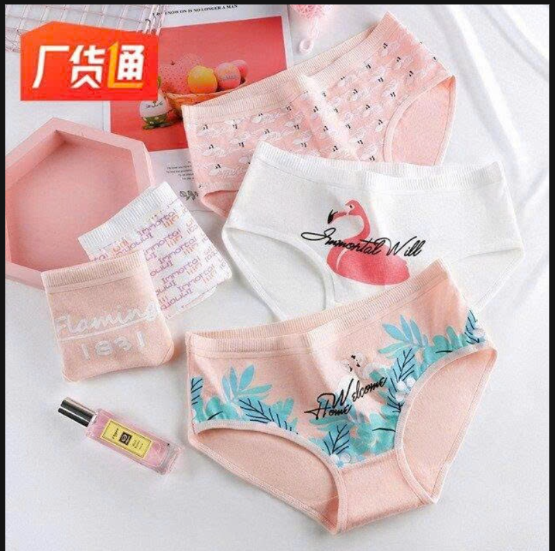Quần chíp Korea cho các bạn teen-72312 (Chốt hàng: trước 24h ngày 06/4)