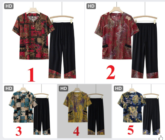 Bộ đồ trung niên -62799(Chốt hàng: trước 24h ngày 13/6)