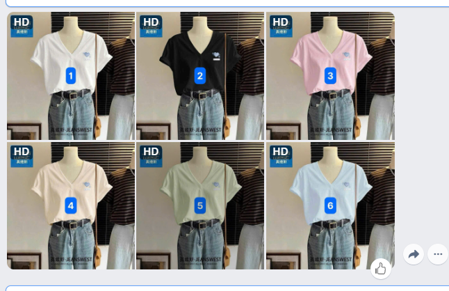 Áo phông JEANSWEST-62871(Chốt hàng: trước 24h ngày 16/6)